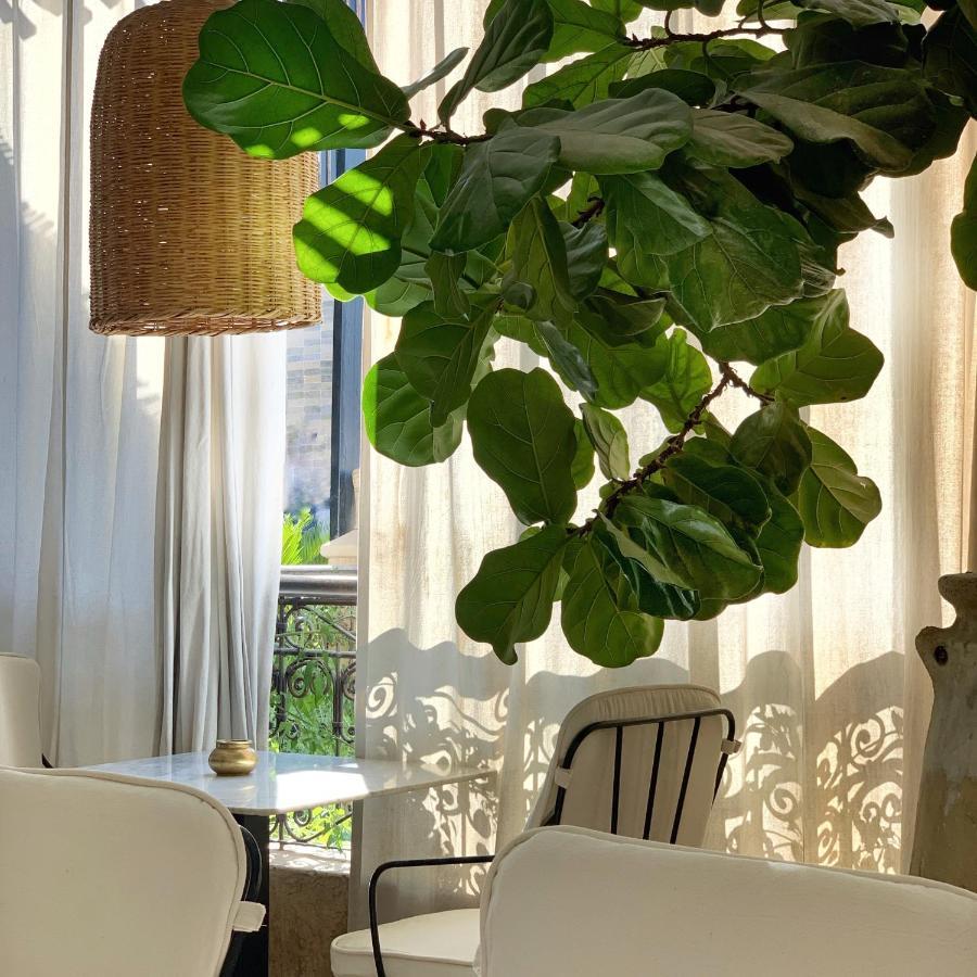 Sakkan Marrakesh Eksteriør billede